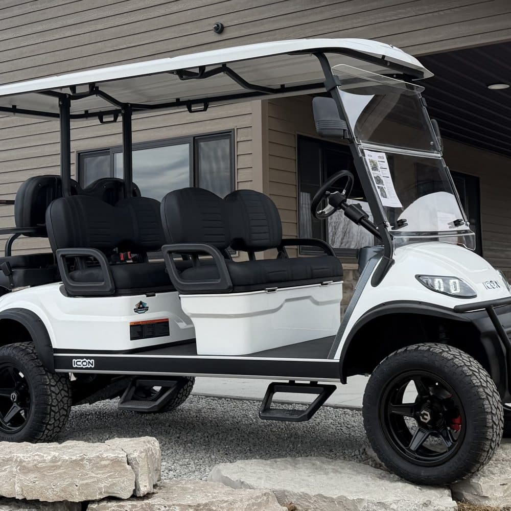 2025 Icon G60L Gas 6 Passenger Lifted - White